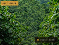 Colombia Single Origin Coffee 🇨🇴