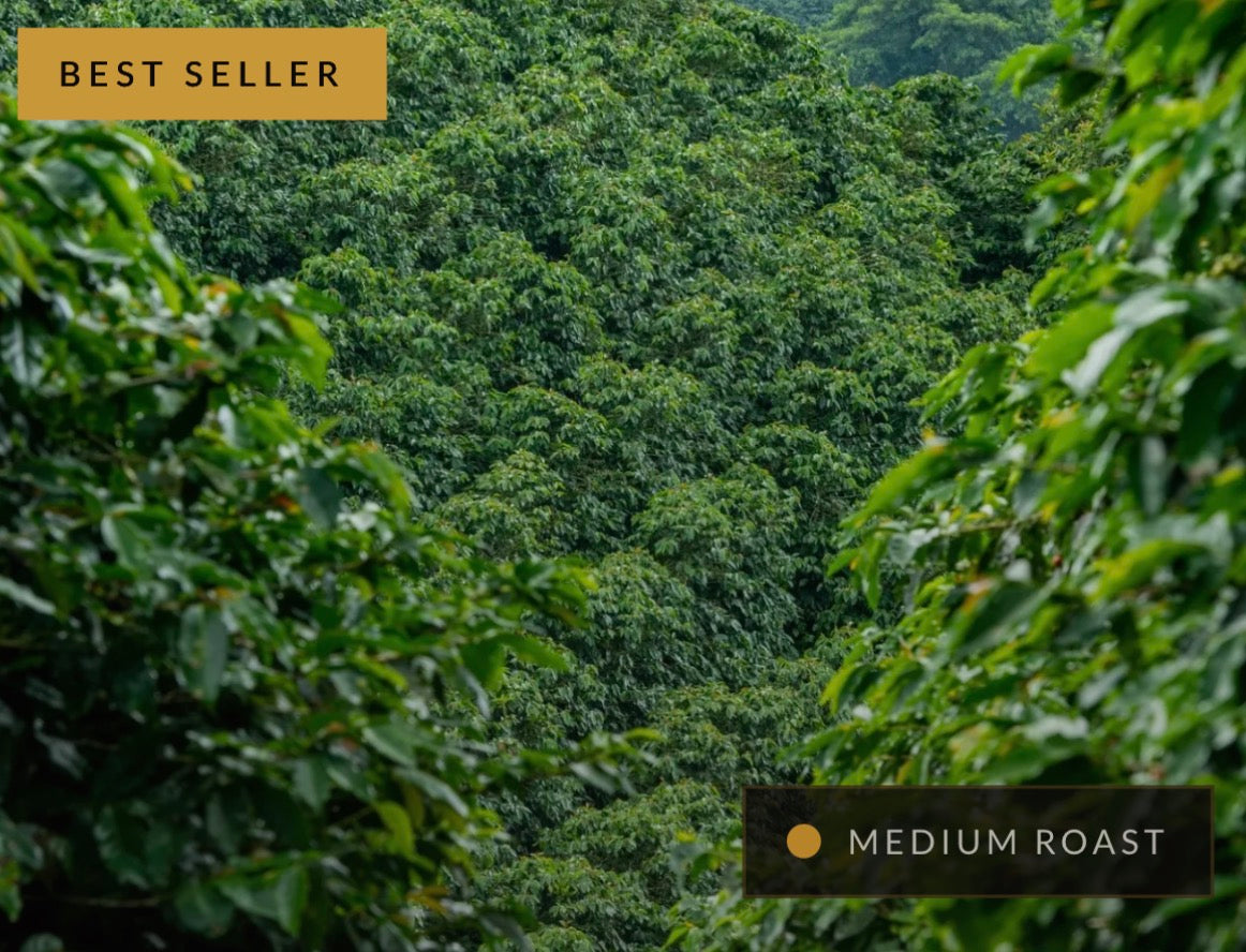Colombia Single Origin Coffee 🇨🇴